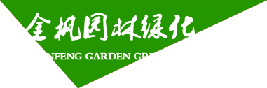 寧夏鋼模板租賃公司